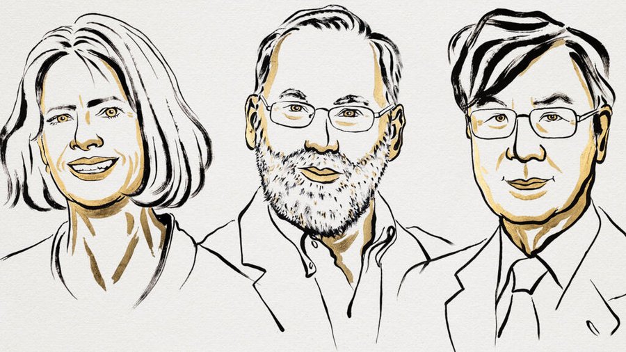 Brunkow, Ramsdell y Sakaguchi ganan el Premio Nobel de Medicina por examinar el sistema inmunitario

 – La nación