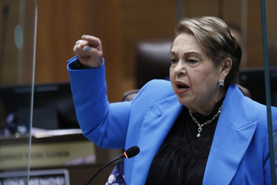 Gloria Navas dice que Rodrigo Chaves tiene un comportamiento de ‘delincuente’

 – La nación