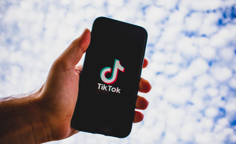 Cómo la nueva generación de políticos en Brasil ganó seguidores en TikTok
– La nación