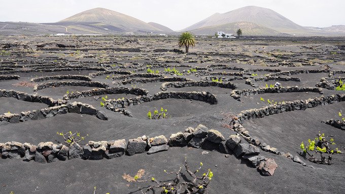 El milagro volcánico de Lanzarote
– La nación