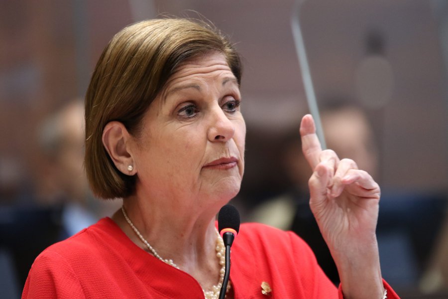 Era una procesión de figuras que quizás nunca en sus vidas habían sostenido una pala.

 – La nación