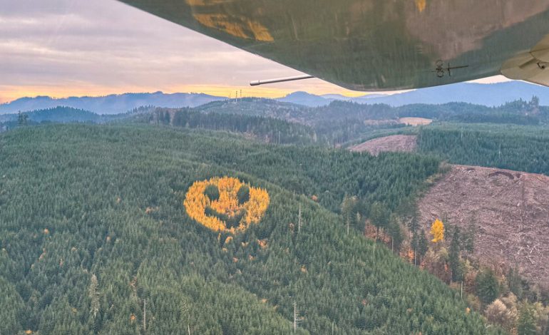 Hay un bosque en Oregón con un tatuaje que aparece cada otoño: un emoji gigante

 – La nación