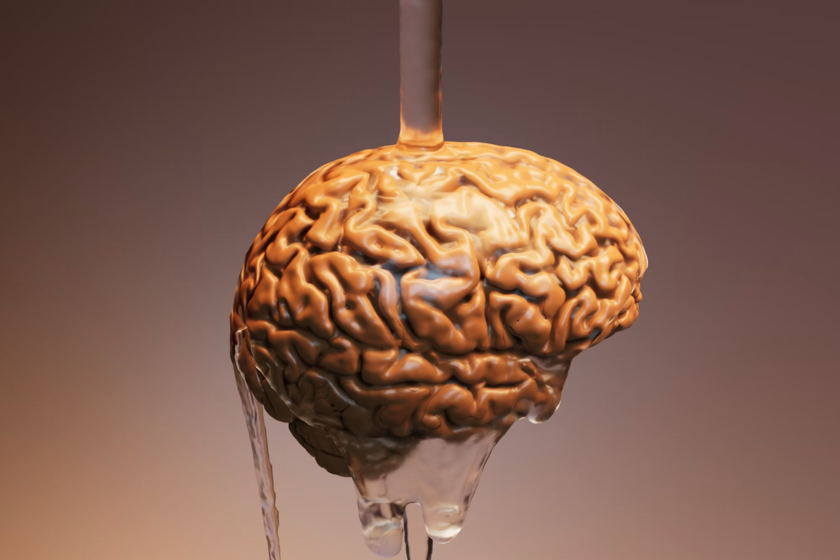 Cómo los hemisferios cerebrales dieron forma al mundo occidental

 – La nación