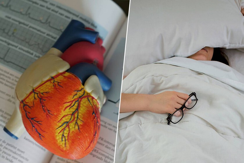 Alguien dijo que la melatonina daña el corazón. La realidad, según la ciencia, es que podemos estar tranquilos

 – La nación