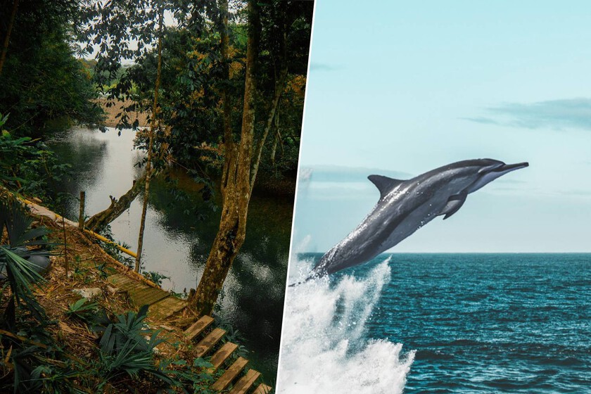 Así la ciencia ha revelado el secreto del lago Tefé

 – La nación