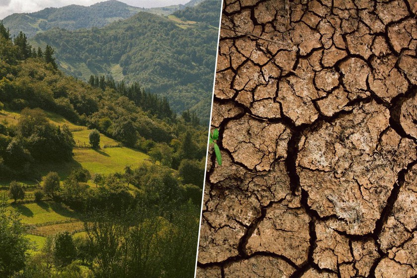 El pasado mes de octubre fue el segundo más seco en 100 años. Y Asturias sufrió lo peor

 – La nación