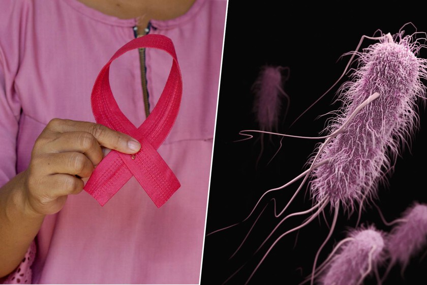 Llevamos 150 años creyendo que las bacterias son un arma contra los tumores. Y finalmente descubrimos cómo

 – La nación