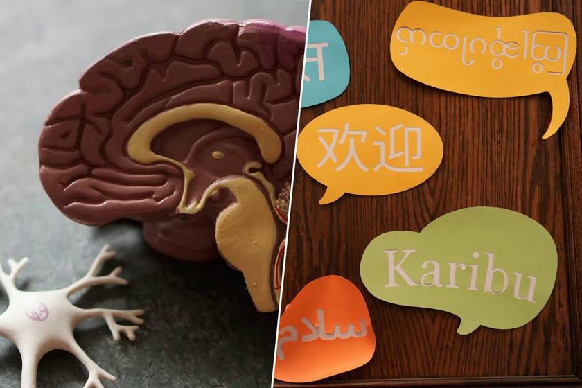 Para entrar al mejor “gimnasio mental” del mundo no necesitas entrada, sólo el idioma

 – La nación