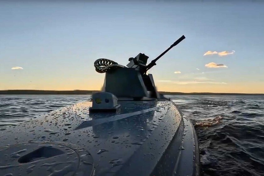 Una IA que decide cuándo disparar se ha escondido donde menos te lo esperas

 – La nación