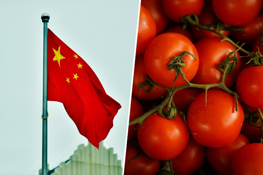 Italia lleva años importando su famosa pasta de tomate “italiana” de China. Y ahora China tiene un problema.

 – La nación