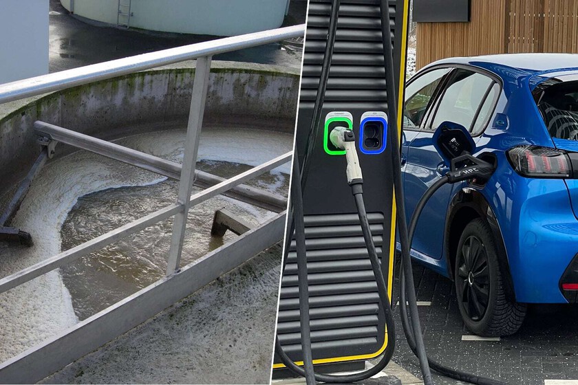 Mientras esperamos baterías de estado sólido, la Universidad de Córdoba tiene una idea para el coche eléctrico: la caca humana

 – La nación