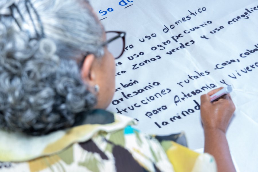 Cámara Forestal de la Madera y la Industria fortalece su presencia territorial con talleres para emprendedores del sector forestal

 – La nación