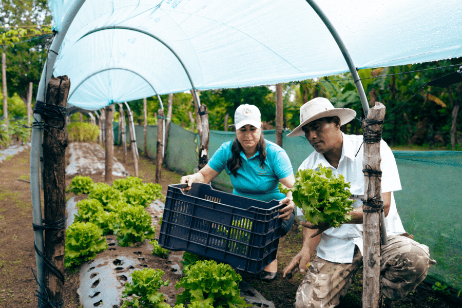 Costa Rica destaca su liderazgo global en sustentabilidad con reconocimiento a Península Papagayo

 – La nacion