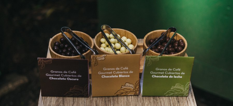 Café Britt celebra 40 años y reafirma su compromiso con un legado sustentable

 – La nacion