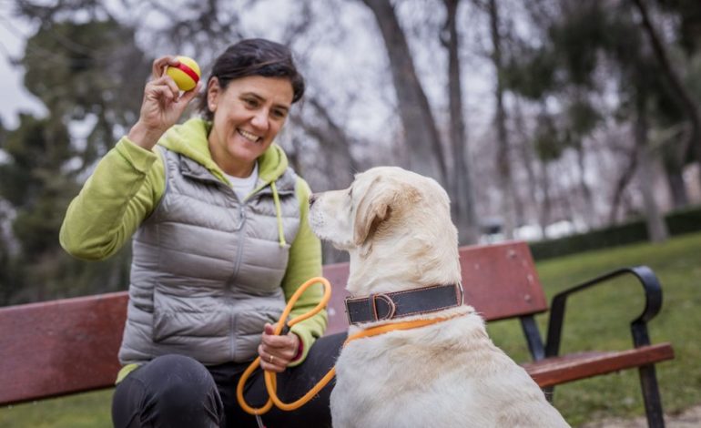 unidos por el bienestar de las personas, los animales y el medio ambiente

 – La nacion