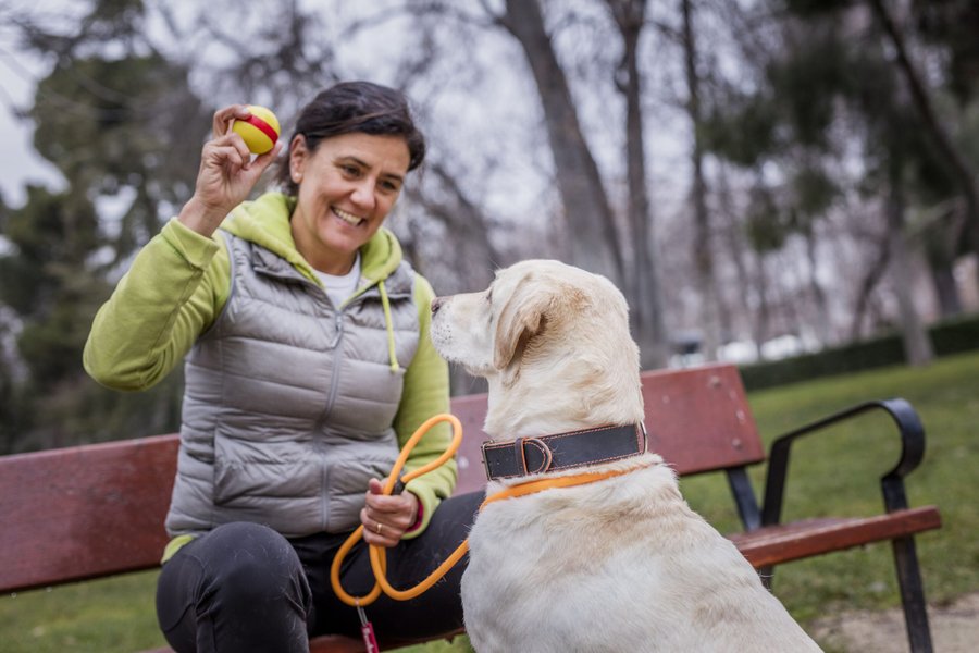 unidos por el bienestar de las personas, los animales y el medio ambiente

 – La nacion