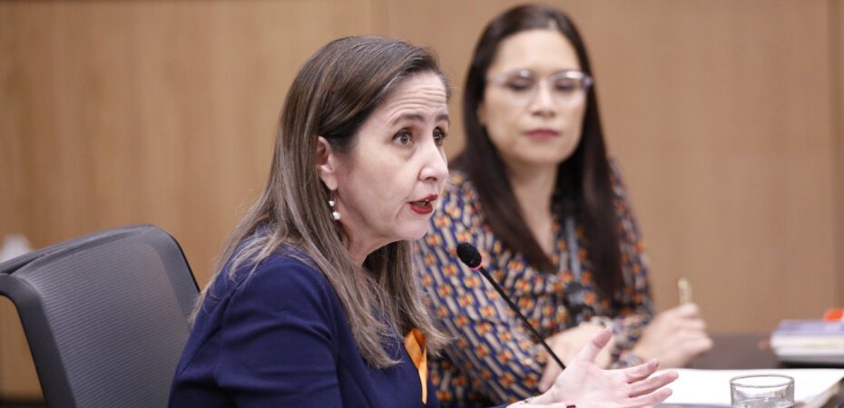 Informe de diputados sobre levantamiento de inmunidad presidencial concluye que conducta de Chávez minó la “pureza del voto”

 – La nación