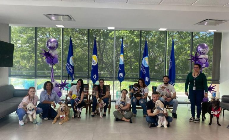 Mondelez tiene licencias de masco

 – La nacion