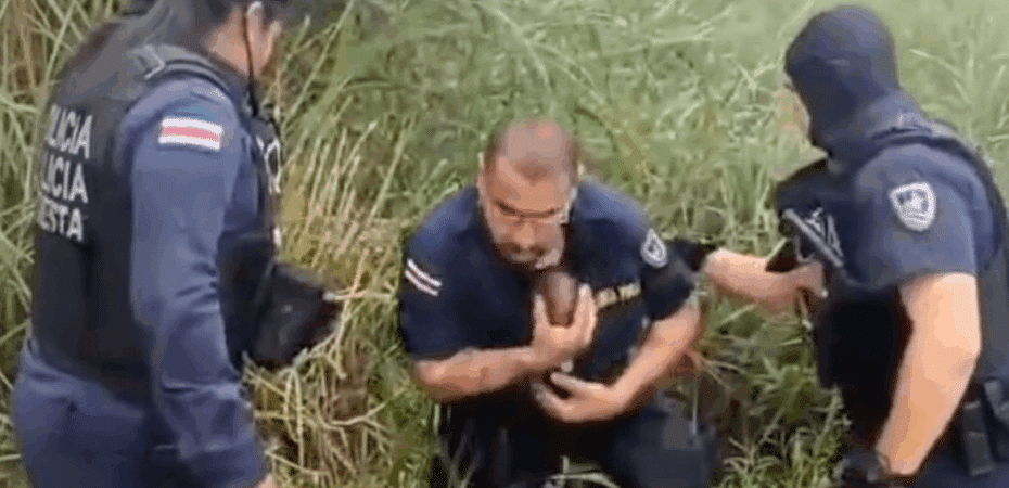 Un diputado con la misión de evitar que los niños sean abandonados en bicicletas

 – La nación