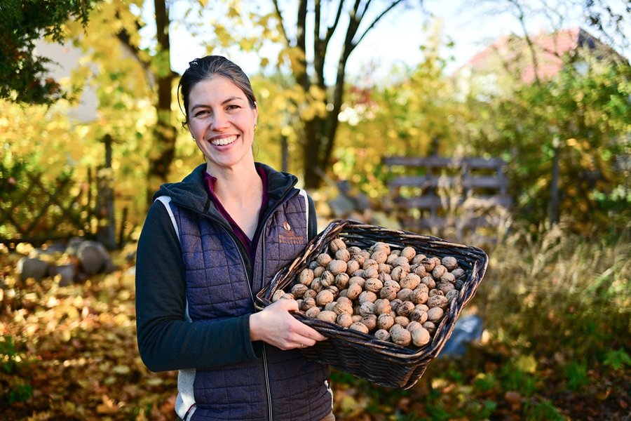 cultivo orgánico de nueces en Alemania

 – La nación