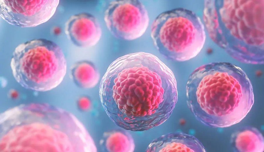 una nueva ventana para la medicina regenerativa y la innovación científica

 – La nacion