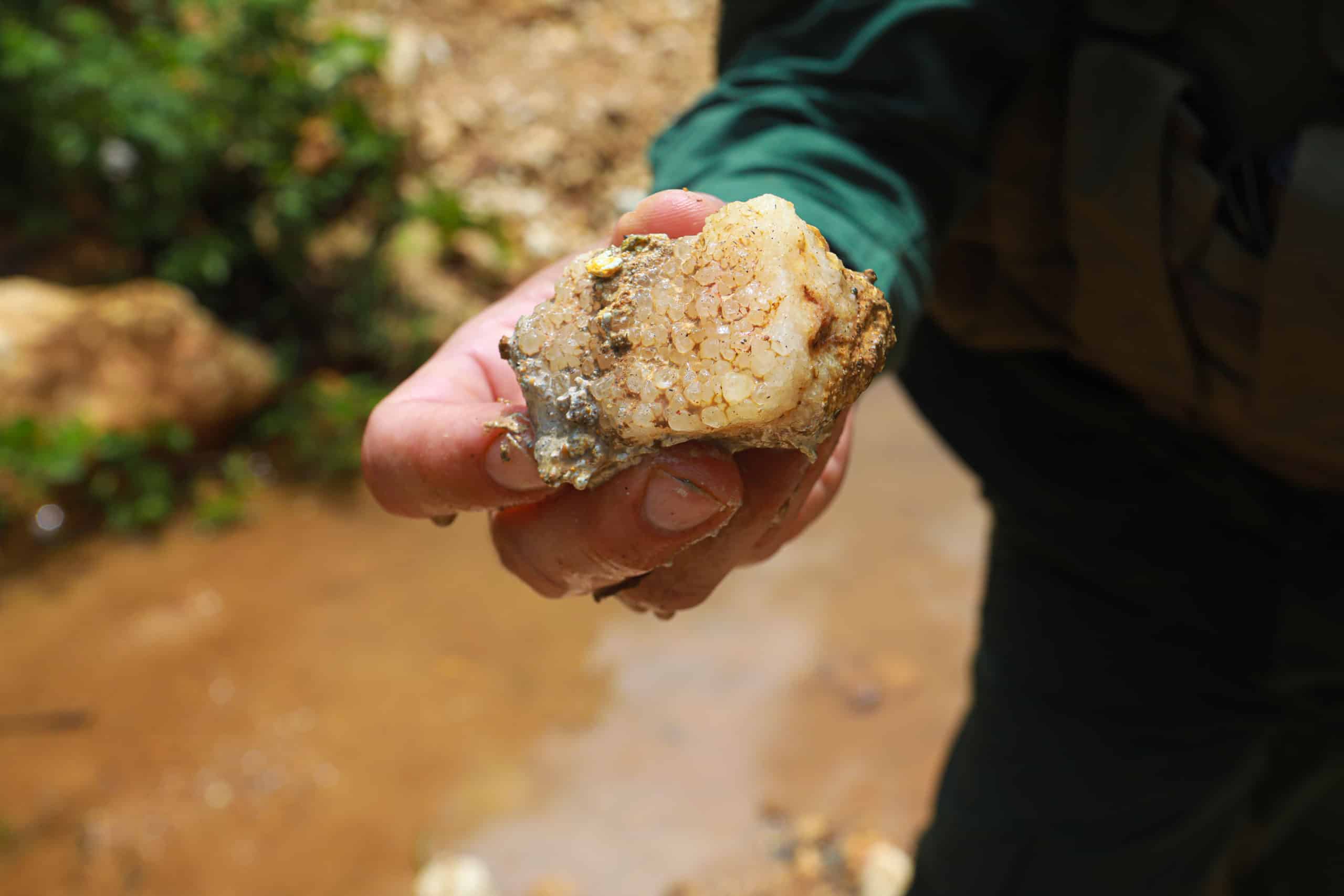 Un revés en un proyecto de exploración y explotación de oro en Crucitas

 – La nación