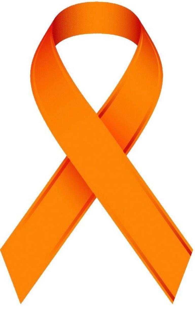 No olvides lucir un lazo naranja a partir de este martes

 – La nación