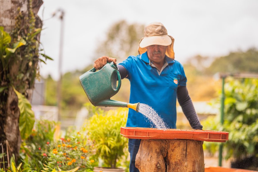 Proyectos realizados en Costa Rica impulsan premio global de sustentabilidad para Fresh Del Monte

 – La nacion
