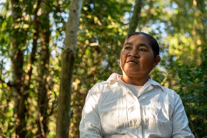 Una casa forestal en Paraguay

 – La nación