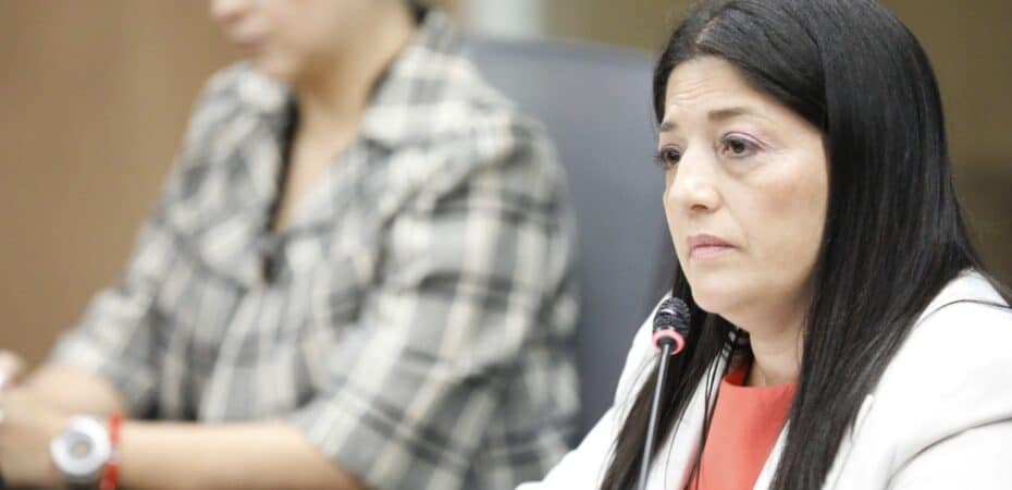 El viceministro de Salud afirma que el estándar tecnológico anterior permitía abortos a “mujeres que simplemente no podían cuidar de sí mismas”

 – La nación