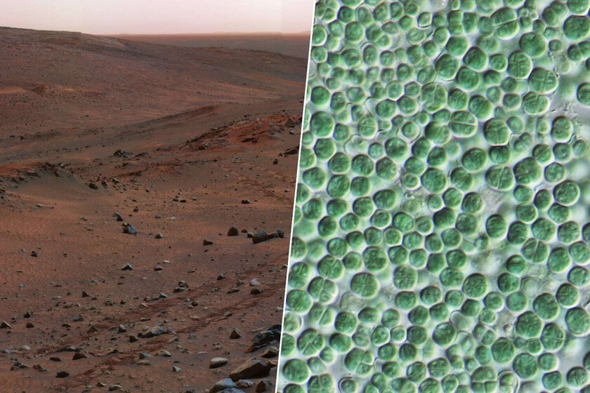 Uno crea cemento, el otro lo protege.

 – La nación