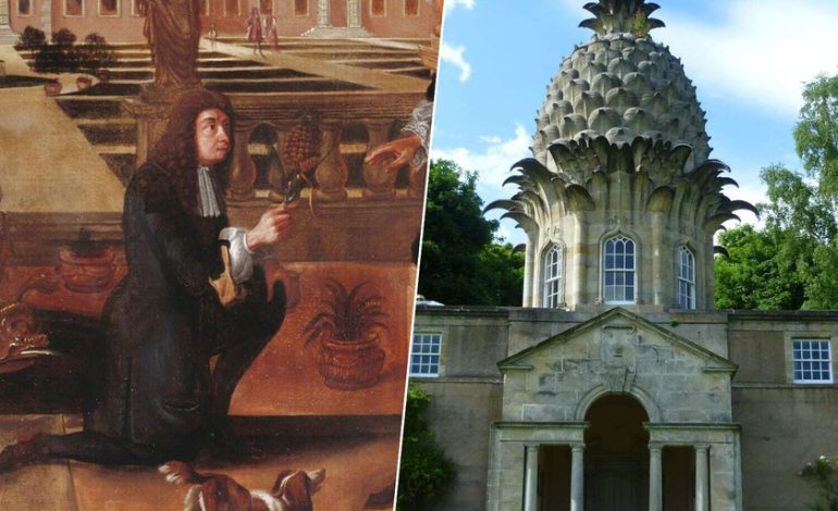 Colón introdujo la piña en Europa en 1496. 200 años después los ingleses se volvieron locos

 – La nación