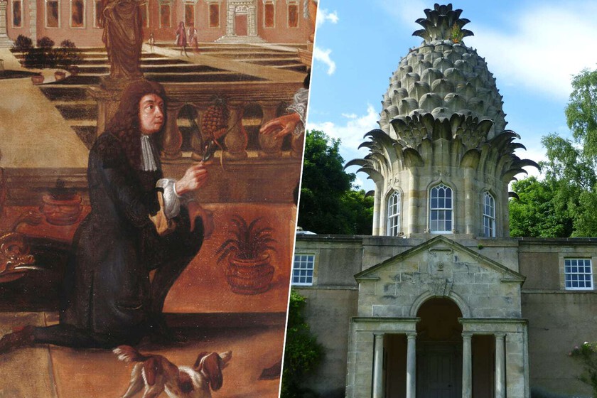 Colón introdujo la piña en Europa en 1496. 200 años después los ingleses se volvieron locos

 – La nación