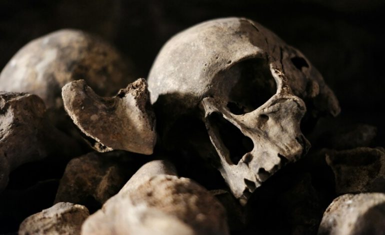 Encontraron un cráneo con forma de cubo en Tamaulipas y pensaron que se trataba de un migrante. La ciencia ha puesto la historia patas arriba

 – La nación