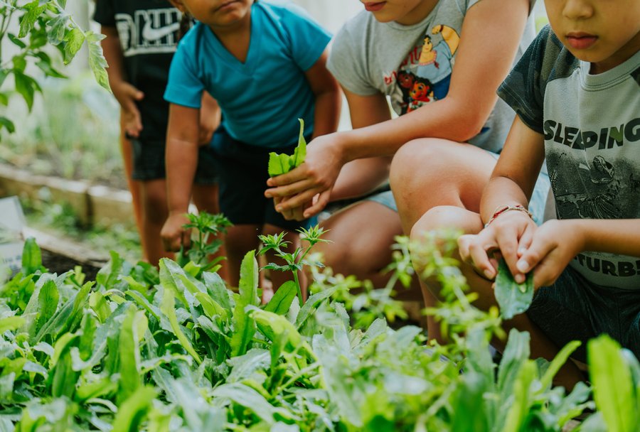 Huerto impulsado por voluntarios mejora nutrición en CEN-CINAI en Guanacaste

 – La nación