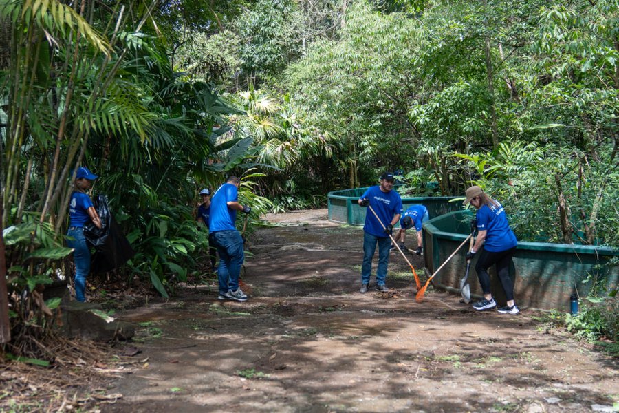 FIFCO supera las 20 mil horas voluntarias en 2025 y reafirma su compromiso con el desarrollo regenerativo

 – La nacion