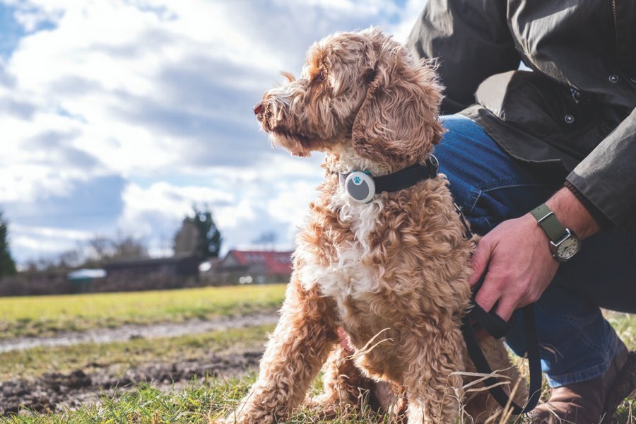 cómo evitar el miedo y la ansiedad en las celebraciones

 – La nacion