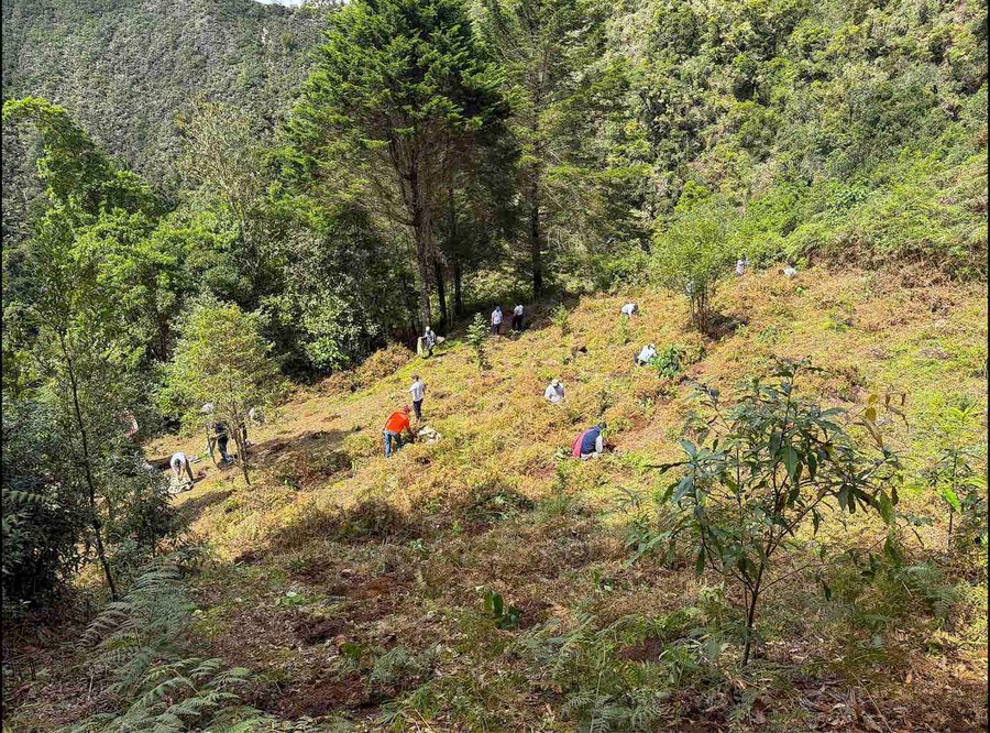 Voluntarios de Liberty trabajan con el desarrollo infantil y la sostenibilidad ambiental en Costa Rica

 – La nacion