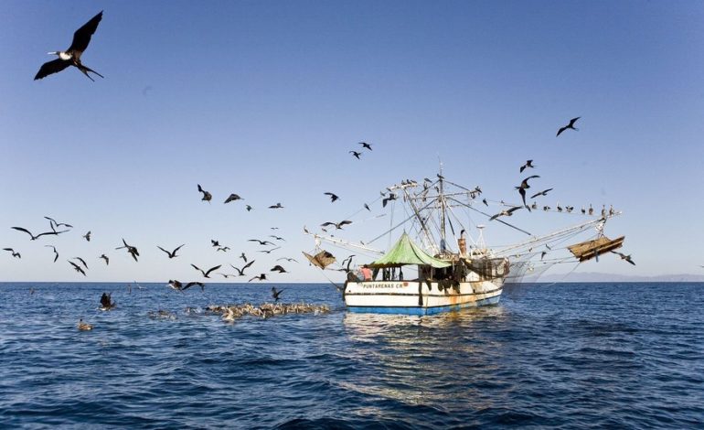 Inside Climage News: Los subsidios a los combustibles han financiado la pesca ilegal y la sobreexplotación de los océanos en Costa Rica

 – La nación