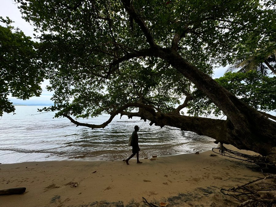 CATURGUA advierte de un “fuerte impacto” en el turismo por la apreciación del colón y pide medidas urgentes al gobierno

 – La nación