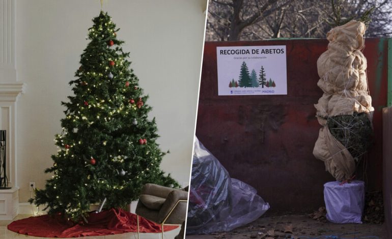 Si tenías intención de replantar tu árbol de Navidad en la montaña, Madrid te puede decir una cosa: no lo hagas

 – La nación