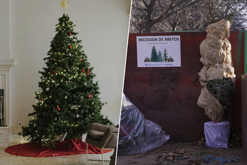 Si tenías intención de replantar tu árbol de Navidad en la montaña, Madrid te puede decir una cosa: no lo hagas

 – La nación