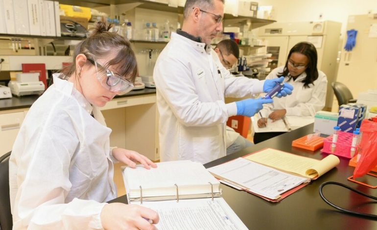 Hay una palabra que se usa en exceso en los artículos académicos por una buena razón: le gusta a ChatGPT

 – La nación