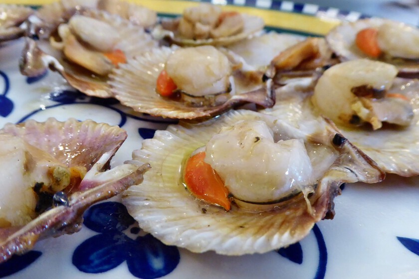 Galicia se ha propuesto acabar de una vez por todas con la “estafa zamburiñas”. Por eso ya está imponiendo multas.

 – La nación