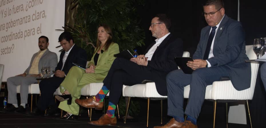 El TSE presentará oficialmente 20 candidatos a la presidencia a partir del viernes

 – La nación