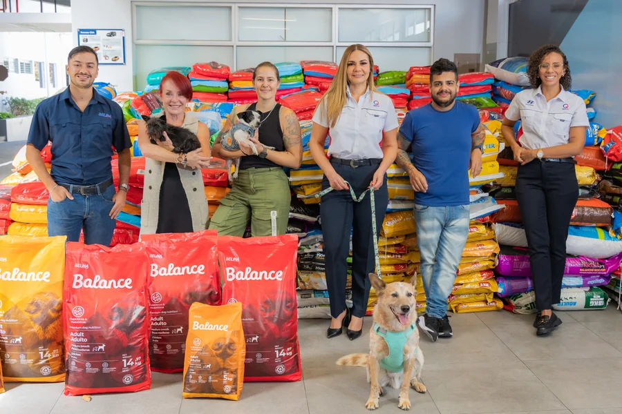 El Zaguatón navideño de Hyundai bate récords y recauda más de 20 toneladas de alimento que beneficiará a más de 2.400 perros en situación de riesgo

 – La nacion