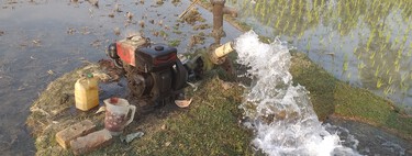 En Murcia alguien ha robado 56 millones de litros de agua en los últimos 18 meses. Es sólo la punta del iceberg