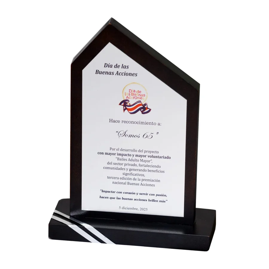 SOMOS 65 es reconocido como el proyecto de mayor impacto y voluntariado en 2025

 – La nacion