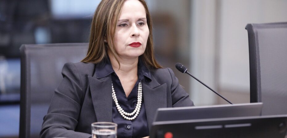 En tensa audiencia, el secretario de Gabinete aseguró que el gobernador del Banco Central mintió sobre el caso Tradeco

 – La nación