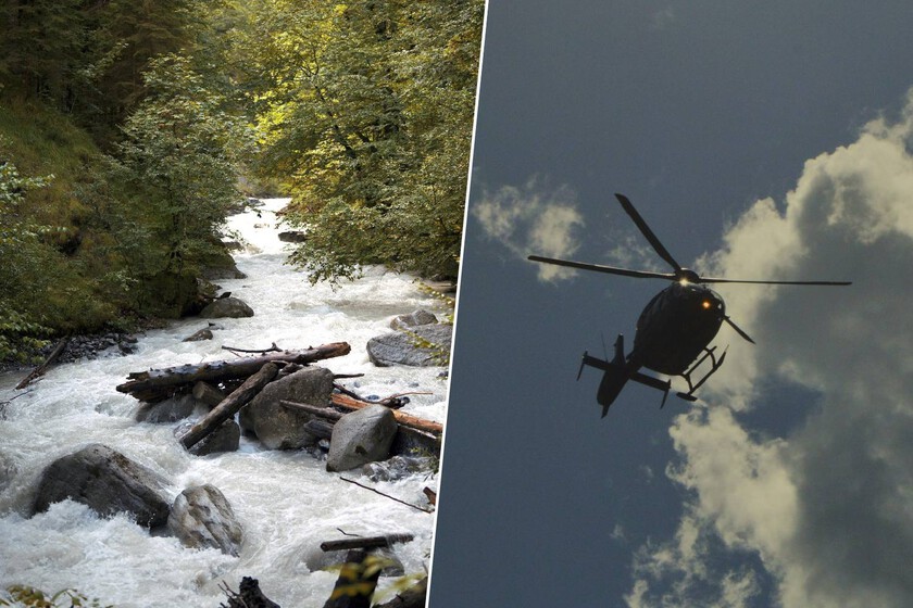 bombardearlos con 6.000 troncos desde helicópteros para corregir un error de décadas

 – La nación